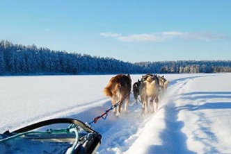 Multi-activities in Hossa