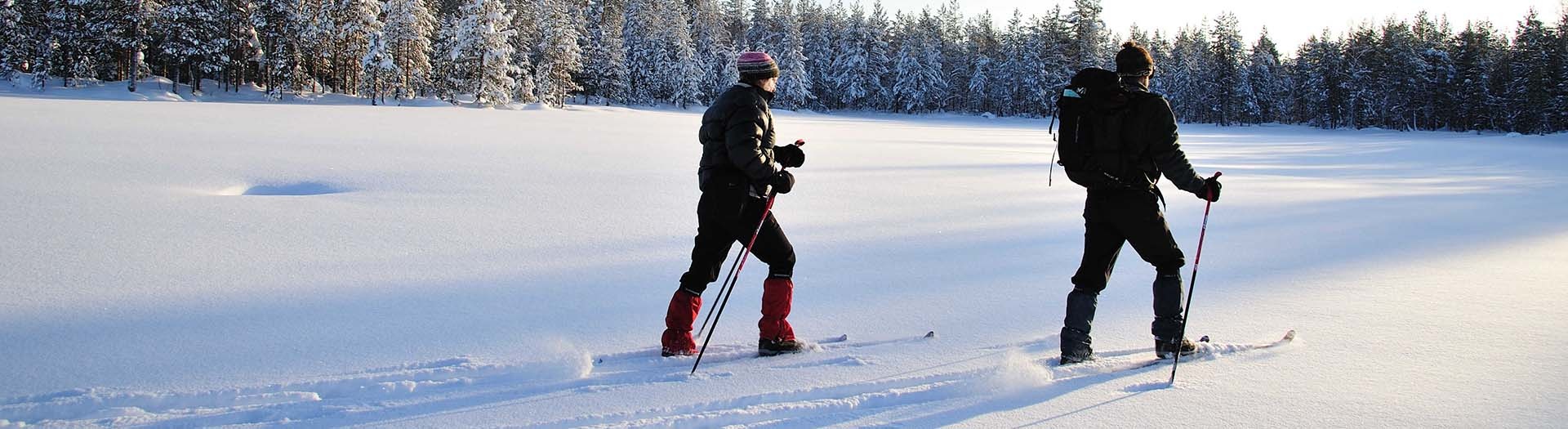 Back country skiing along the Russian border