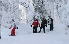 Snowshoeing and Seipiniemi Peninsula