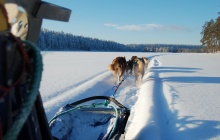 Laukkujärvi / Seppiniemi - Traîneau à chien