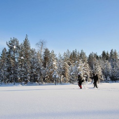Winter Multi-activities