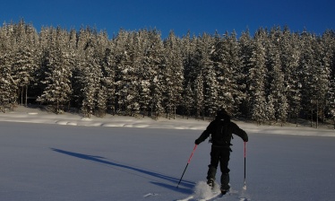 Back country skiing along the Russian border