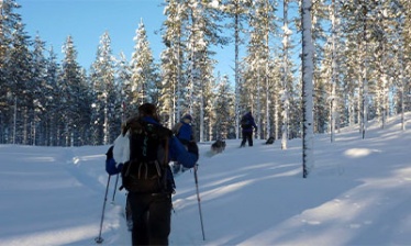 Self-guided nordic skiing adventure