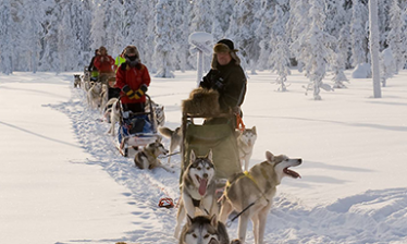 Aventure hivernale dans le parc de Hossa