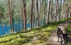 mountain biking in Finland