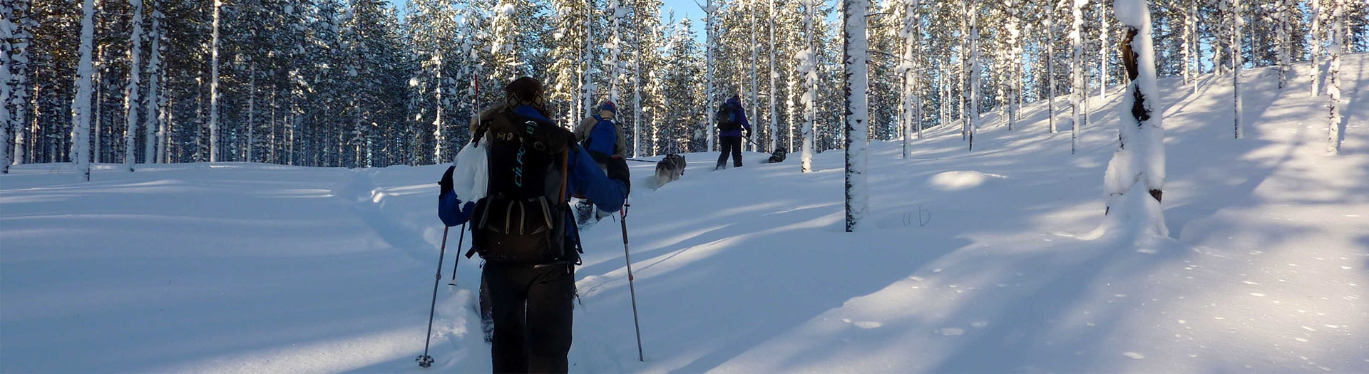 Self-guided nordic skiing adventure