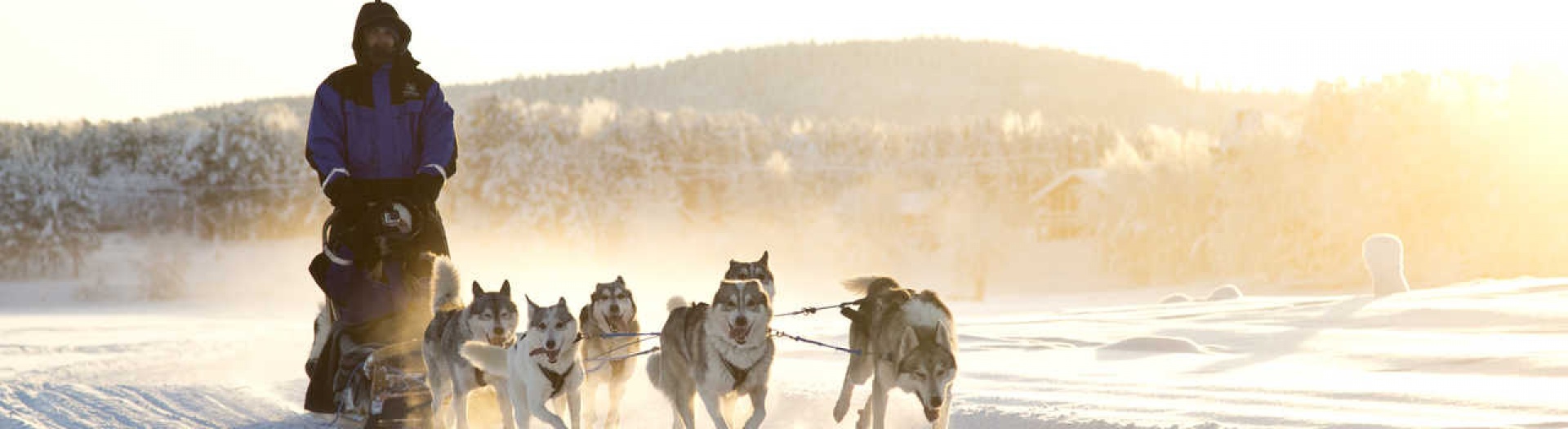 Aventures boréales au pays des trois frontières