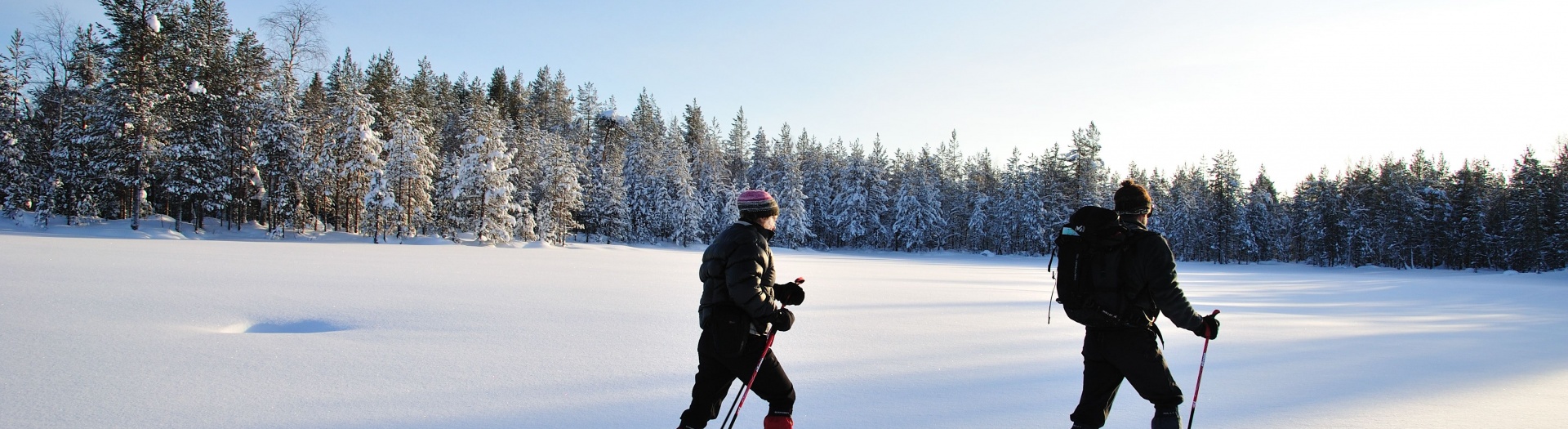 Aventure hivernale dans le parc de Hossa