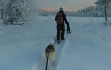 Snowshoe trek with dogs