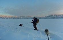 Snowshoe trek with dogs