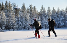 Journée d'initiation au ski nordique