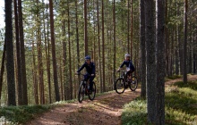 Mountain biking through the Taiga