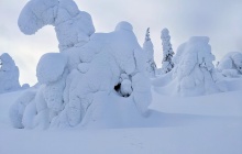 Raquette sur les hauteurs du parc national de Riisitunturi