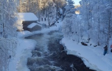 Rapide du parc national d’Oulanka