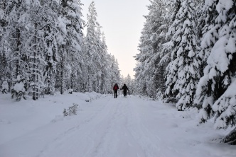 A Finnish escape