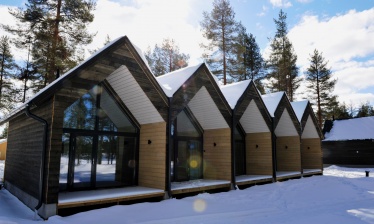 Immersion au coeur de la forêt boréale