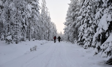 A Finnish escape