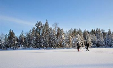 Finnish adventure in back country skiing and skijoëring
