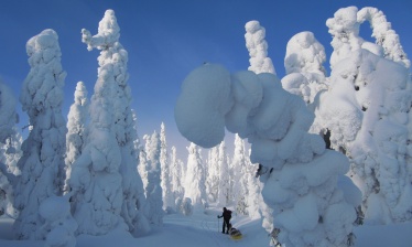 Raquettes au coeur de la nature préservée de Finlande