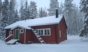 Immersion au coeur de la forêt boréale